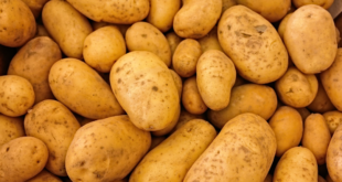 Pommes de terre - ph : Pixabay